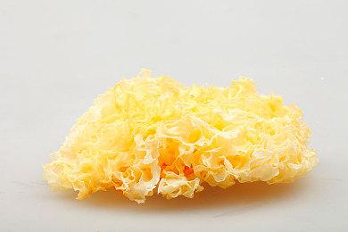 小高和刚3D动作新游《TRIBE NINE》新队伍主题歌预告